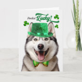 Malamute Dog Feelin' Lucky St Patrick's Day Feestdagen Kaart (Voorkant)