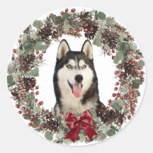 Malamute Dog Red Bow Pinecone Wreater Kerstmis