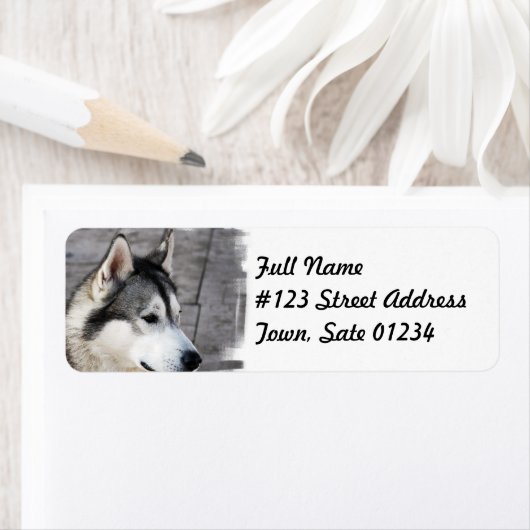 Malamute hond mailing label (Insitu)