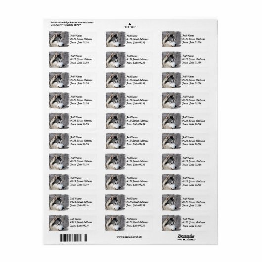 Malamute hond mailing label (Full Sheet)