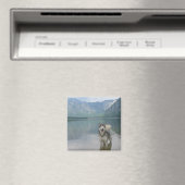 Malamute Hond vierkante magneet (Insitu (Vaatwasser))