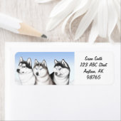 Malamute Husky Dogs  Etiket (Insitu)