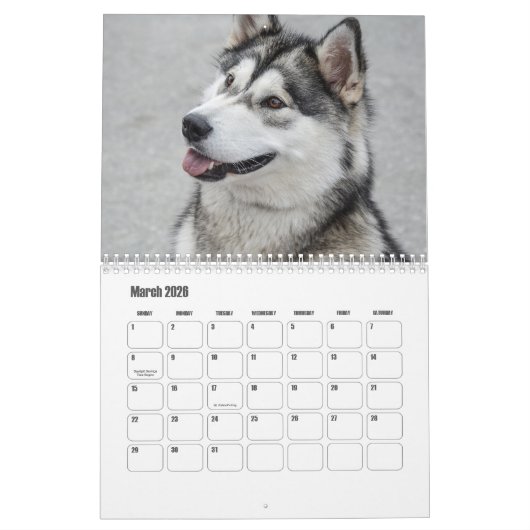 Malamute Kalender van Alaska (Mar 2026)