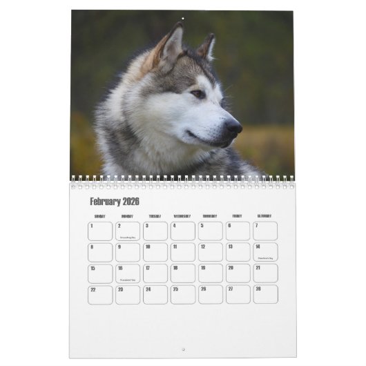 Malamute Kalender van Alaska (Feb 2026)