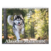 Malamute Kalender van Alaska (Hoes)