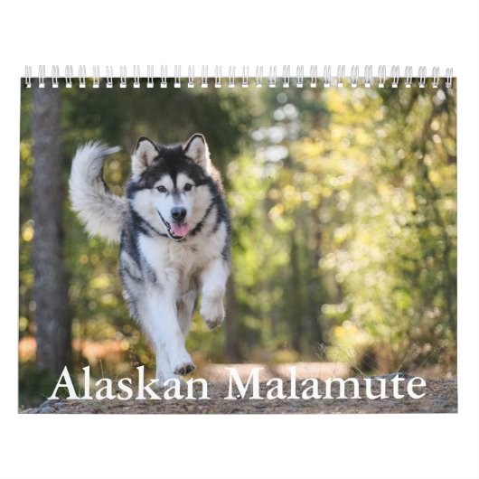 Malamute Kalender van Alaska (Hoes)