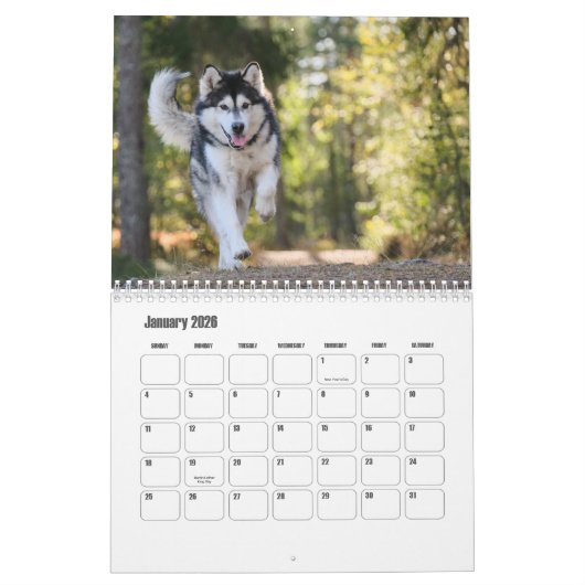 Malamute Kalender van Alaska (Jan 2026)