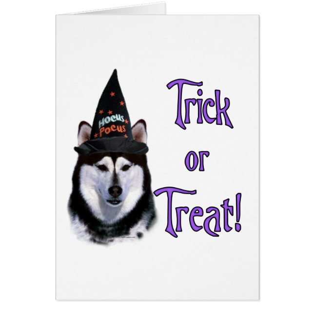 Malamute Trick van Alaskan (Voorkant)