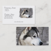 Malamute Visitekaartje (Voorkant / Achterkant)