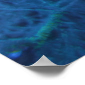 Malapascua Lionfish Poster (Hoek)