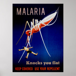 Malaria doodt poster
