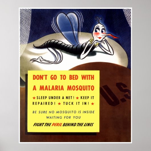 Malaria Mosquito - Border Poster (Voorkant)