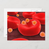 Malaria parasieten in rode bloedcellen briefkaart (Voorkant / Achterkant)