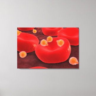 Malaria parasieten in rode bloedcellen canvas afdruk