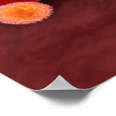 Malaria parasieten in rode bloedcellen poster (Hoek)