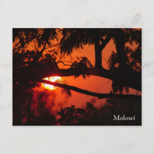 Malawi, Africa Sunset Briefkaart