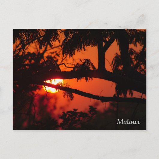 Malawi, Africa Sunset Briefkaart (Voorkant)