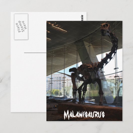 Malawisaurus Briefkaart (Voorkant / Achterkant)