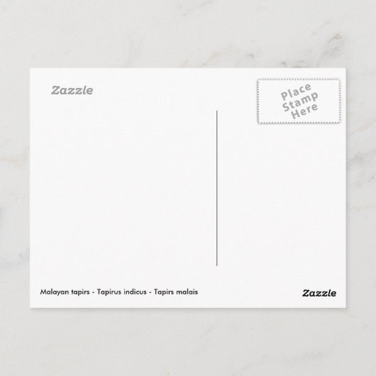 Malayaanse tapirs op gras briefkaart (Achterkant)