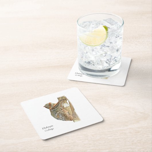 Malayan Colugo Onderzetter (Insitu)