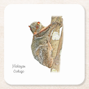 Malayan Colugo Onderzetter