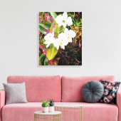 Malayan Moth Orchid en een Amerikaanse klimmer Canvas Afdruk (Insitu (Woonkamer))