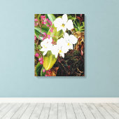 Malayan Moth Orchid en een Amerikaanse klimmer Canvas Afdruk (Insitu (Houten vloer))