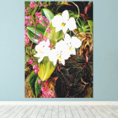 Malayan Moth Orchid en een Amerikaanse klimmer Canvas Afdruk (Insitu (Houten vloer))