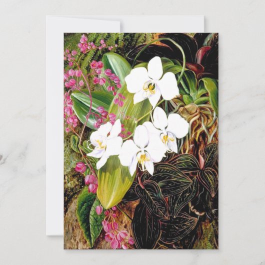 Malayan Moth Orchid en een Amerikaanse klimmer Kaart (Voorkant)