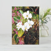 Malayan Moth Orchid en een Amerikaanse klimmer Kaart (Staand voorkant)