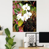 Malayan Moth Orchid en een Amerikaanse klimmer Poster (Thuiskantoor)
