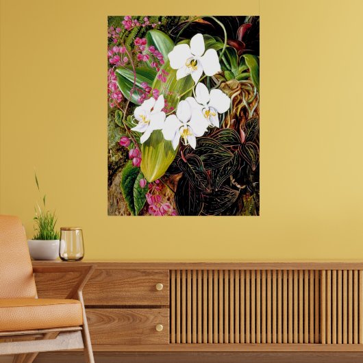 Malayan Moth Orchid en een Amerikaanse klimmer Poster (Woonkamer 2)