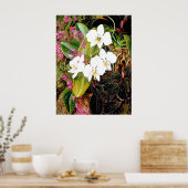 Malayan Moth Orchid en een Amerikaanse klimmer Poster (Keuken)