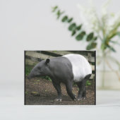 Malayan Tapir Briefkaart (Staand voorkant)