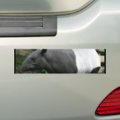 Malayan Tapir Bumpersticker (Op auto)