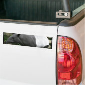 Malayan Tapir Bumpersticker (Op Truck)