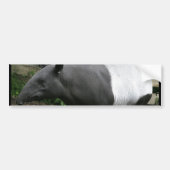 Malayan Tapir Bumpersticker (Voorkant)