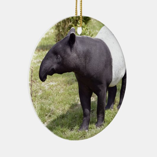 Malayan tapir op gras keramisch ornament (Rechts)