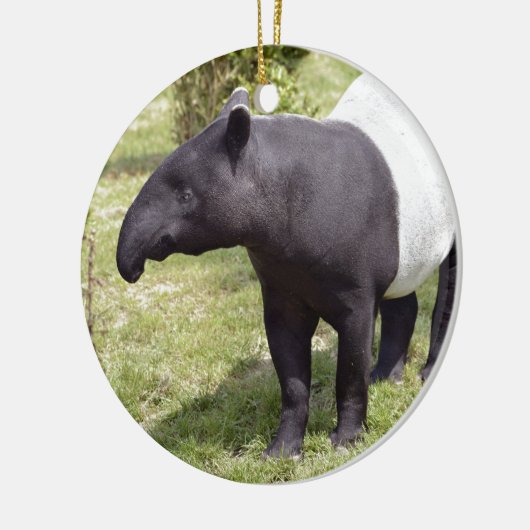 Malayan tapir op gras keramisch ornament (Links)