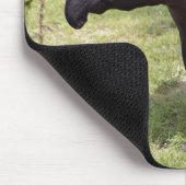 Malayan tapir op gras muismat (Hoek)