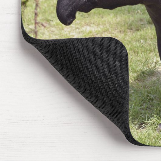 Malayan tapir op gras muismat (Hoek)