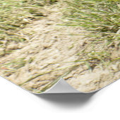 Malayan tapir op gras poster (Hoek)