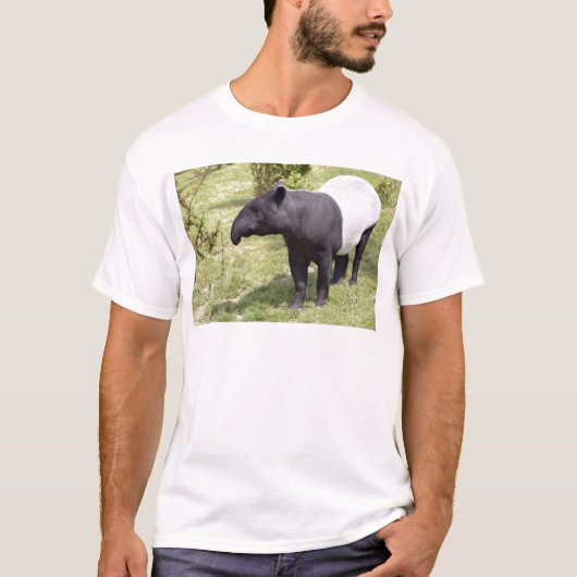 Malayan tapir op gras t-shirt (Voorkant)