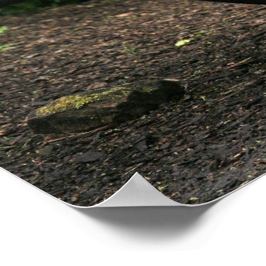 Malayan Tapir Poster (Hoek)