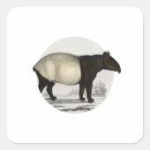 Malayan Tapir -  zoogdier Vierkante Sticker (Voorkant)
