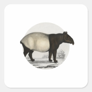 Malayan Tapir -  zoogdier Vierkante Sticker