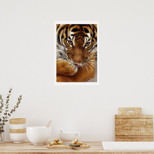 Malayan Tiger #1 poster (Keuken)