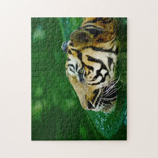 Malayan Tiger Big Cats. Legpuzzel (Verticaal)