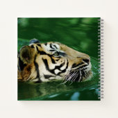 Malayan Tiger zwemschot Notitieboek (Achterkant)