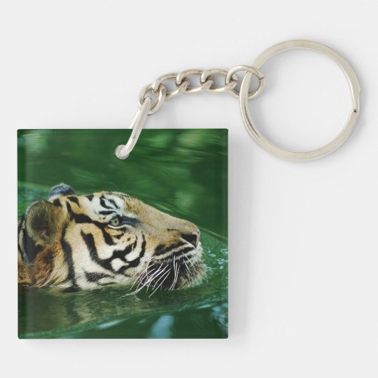 Malayan Tiger zwemschot Sleutelhanger (Achterkant)